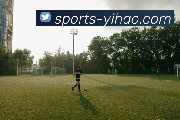 体育下注平台生态图