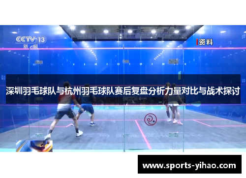 深圳羽毛球队与杭州羽毛球队赛后复盘分析力量对比与战术探讨